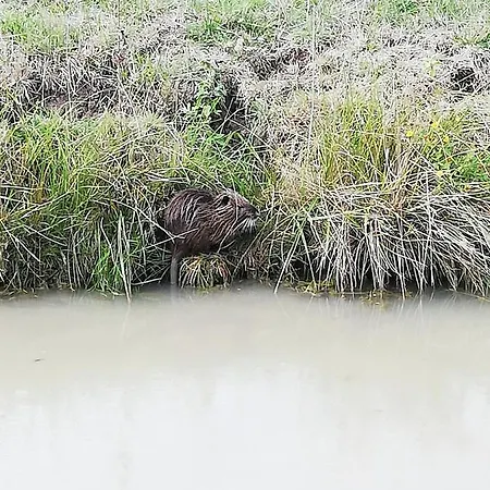 La Roche Des Bois, Maison Classee ***