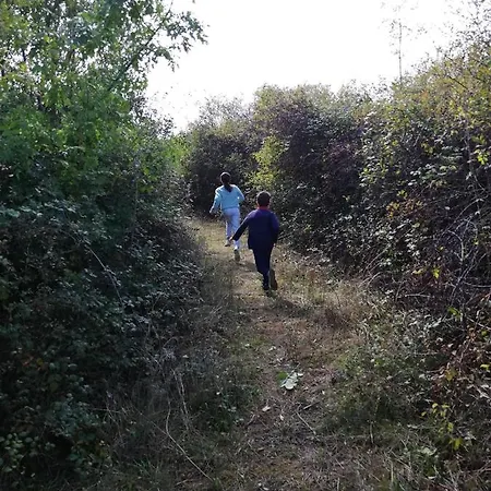 別荘 La Roche Des Bois, Maison Classee *** Saint-Laurent-de-la-Prée