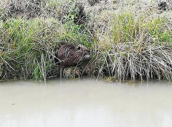 La Roche Des Bois, Maison Classée ***